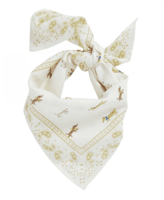 PETIT FOULARD - TECKEL ECRU